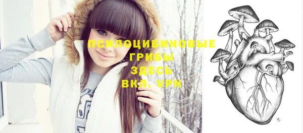ПСИЛОЦИБИНОВЫЕ ГРИБЫ Армянск