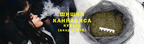гидра Аркадак