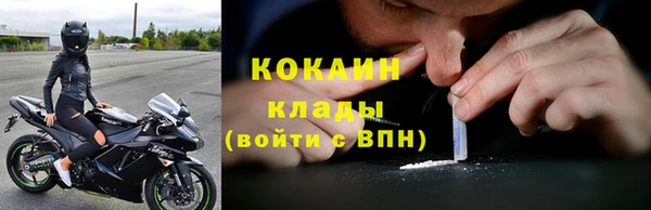 ПСИЛОЦИБИНОВЫЕ ГРИБЫ Армянск