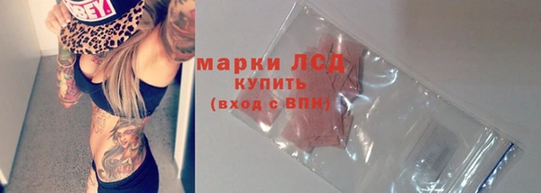 гидра Аркадак