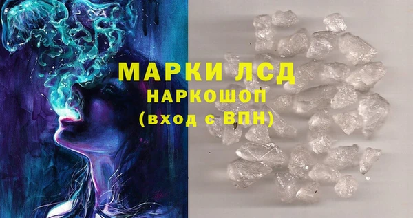 гидра Аркадак