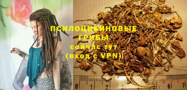a pvp Арсеньев